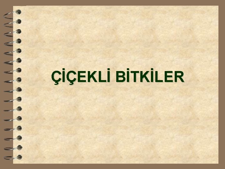 ÇİÇEKLİ BİTKİLER 