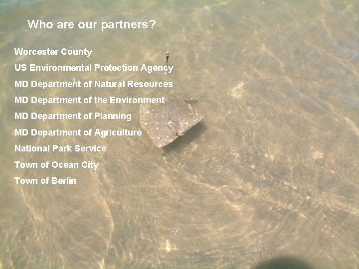 Who are our partners? Worcester County US Environmental Protection Agency MD Department of Natural Who are our partners? Worcester County US Environmental Protection Agency MD Department of Natural