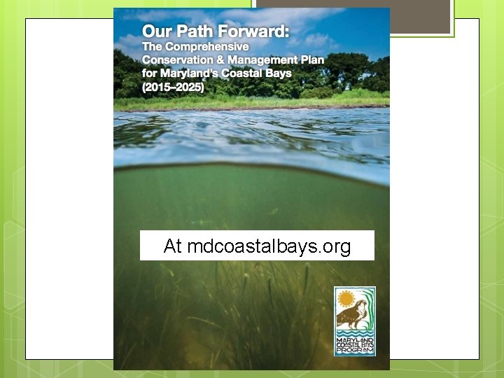 At mdcoastalbays. org At mdcoastalbays. org