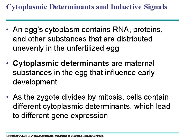 Cytoplasmic Determinants and Inductive Signals • An egg’s cytoplasm contains RNA, proteins, and other Cytoplasmic Determinants and Inductive Signals • An egg’s cytoplasm contains RNA, proteins, and other