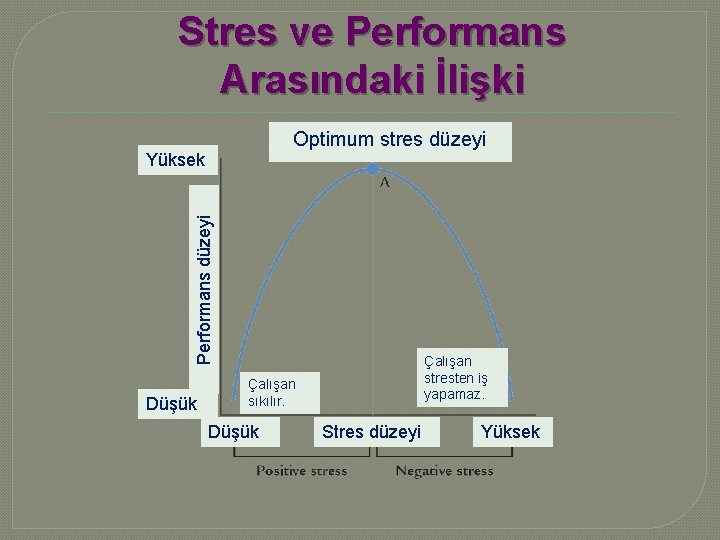 Stres ve Performans Arasındaki İlişki Optimum stres düzeyi Performans düzeyi Yüksek Düşük Çalışan stresten