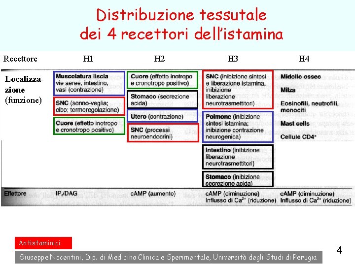 Distribuzione tessutale dei 4 recettori dell’istamina Recettore H 1 H 2 H 3 H