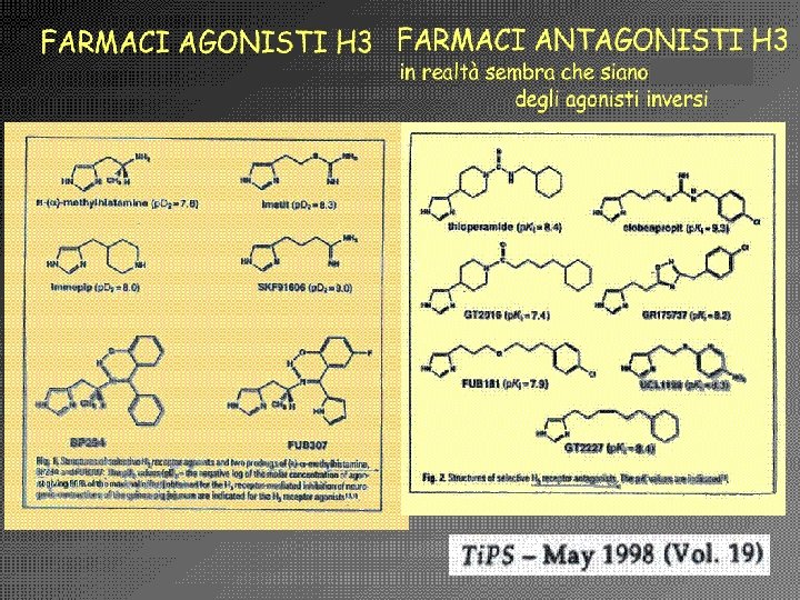 Antistaminici Giuseppe Nocentini, Dip. di Medicina Clinica e Sperimentale, Università degli Studi di Perugia