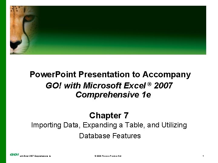 Power. Point Presentation to Accompany GO! with Microsoft Excel ® 2007 Comprehensive 1 e