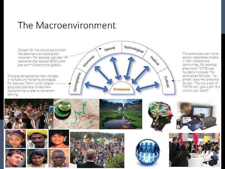 The Macroenvironment 