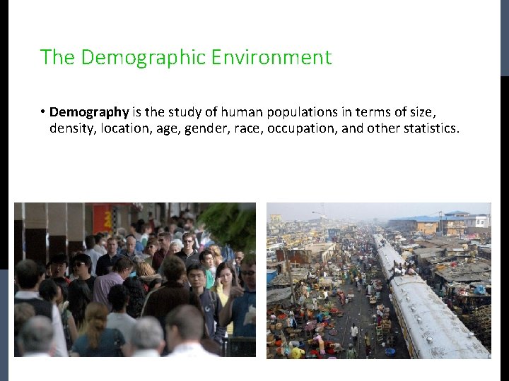 The Demographic Environment • Demography is the study of human populations in terms of