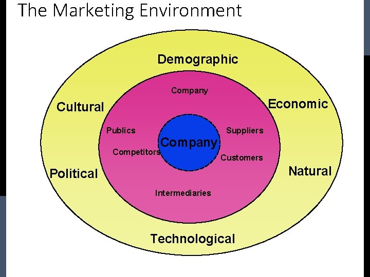 The Marketing Environment Demographic Company Economic Cultural Publics Suppliers Company Competitors Customers Natural Political