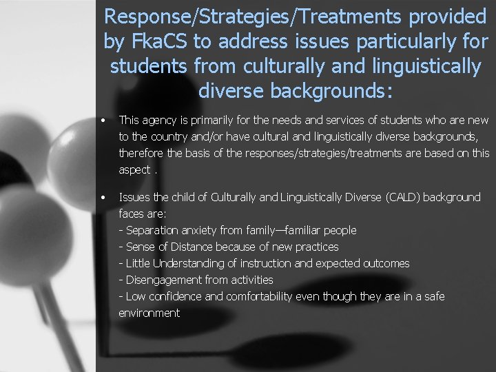 Response/Strategies/Treatments provided by Fka. CS to address issues particularly for students from culturally and