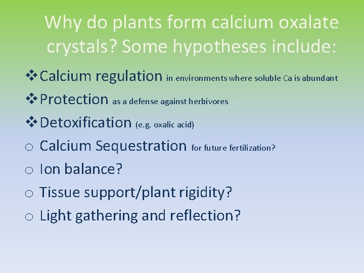 Why do plants form calcium oxalate crystals? Some hypotheses include: v Calcium regulation in