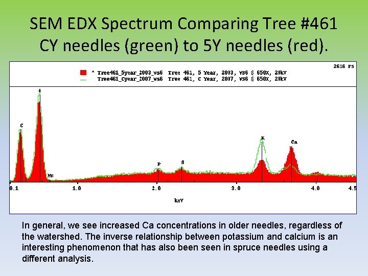 SEM EDX Spectrum Comparing Tree #461 CY needles (green) to 5 Y needles (red).