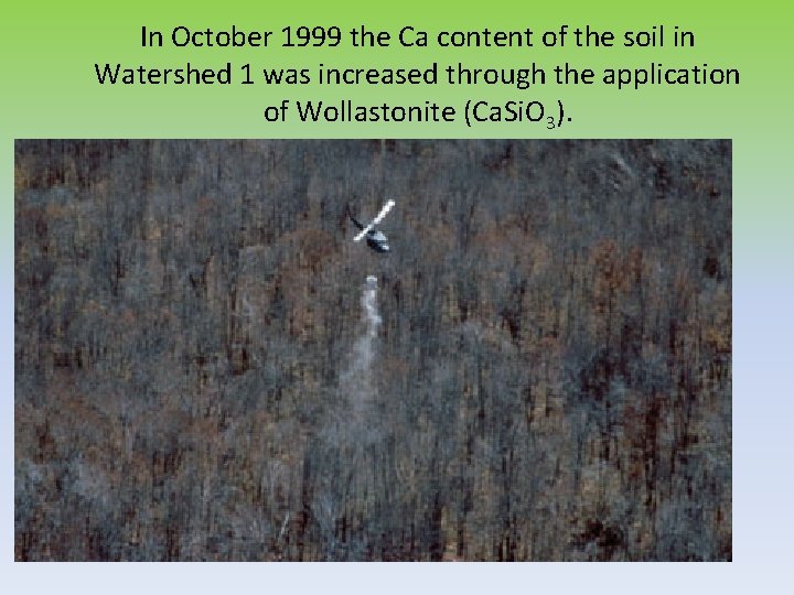 In October 1999 the Ca content of the soil in Watershed 1 was increased