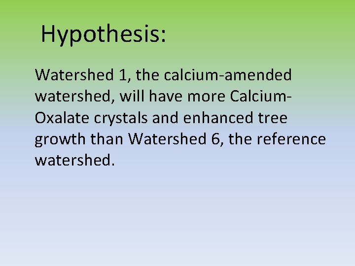 Hypothesis: Watershed 1, the calcium-amended watershed, will have more Calcium. Oxalate crystals and enhanced