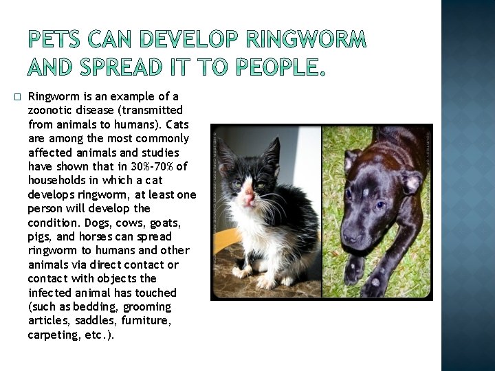 � Ringworm is an example of a zoonotic disease (transmitted from animals to humans). � Ringworm is an example of a zoonotic disease (transmitted from animals to humans).