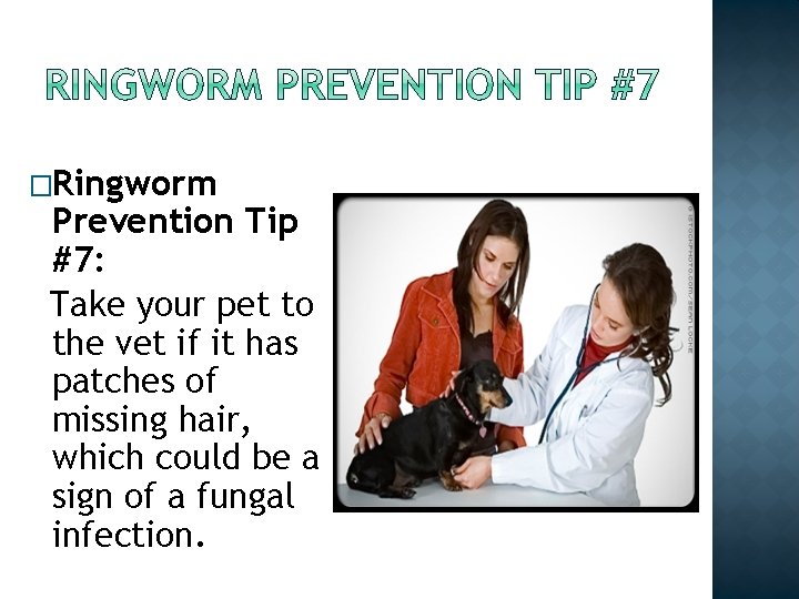 �Ringworm Prevention Tip #7: Take your pet to the vet if it has patches �Ringworm Prevention Tip #7: Take your pet to the vet if it has patches