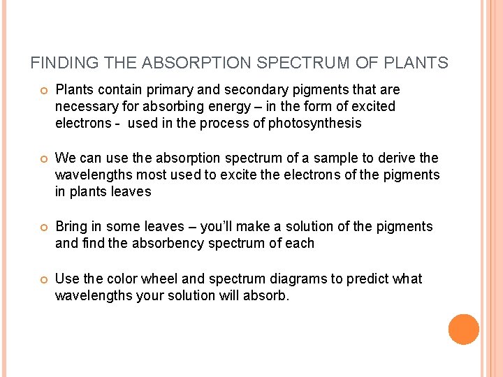 FINDING THE ABSORPTION SPECTRUM OF PLANTS Plants contain primary and secondary pigments that are