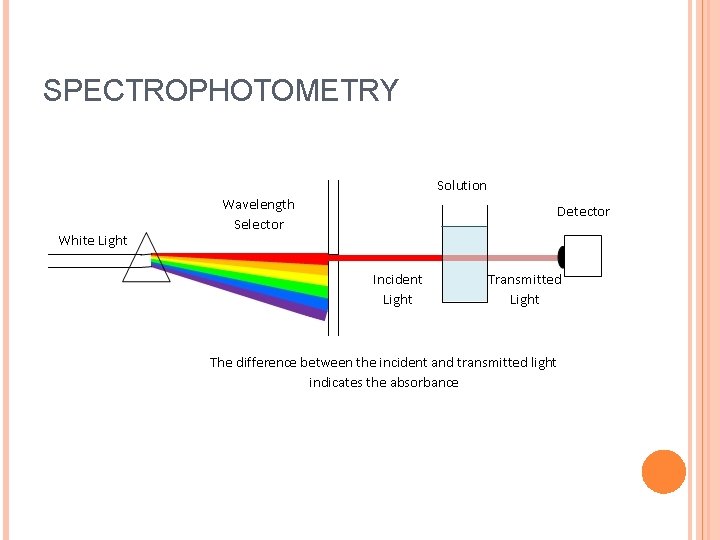 SPECTROPHOTOMETRY 