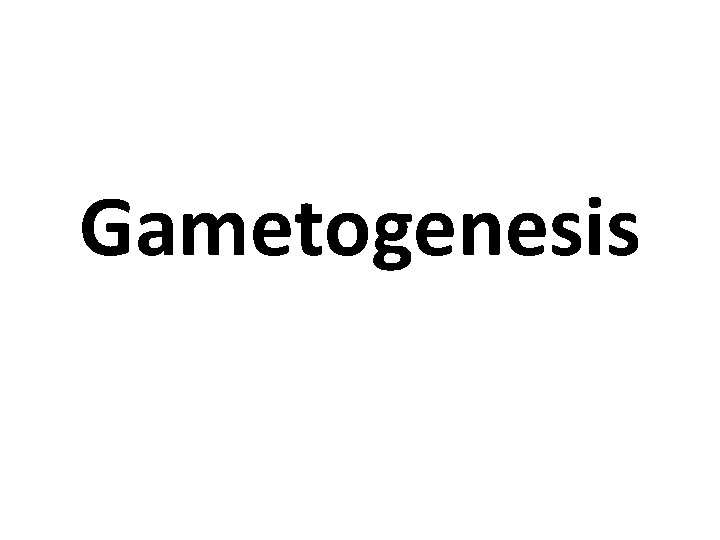 Gametogenesis 
