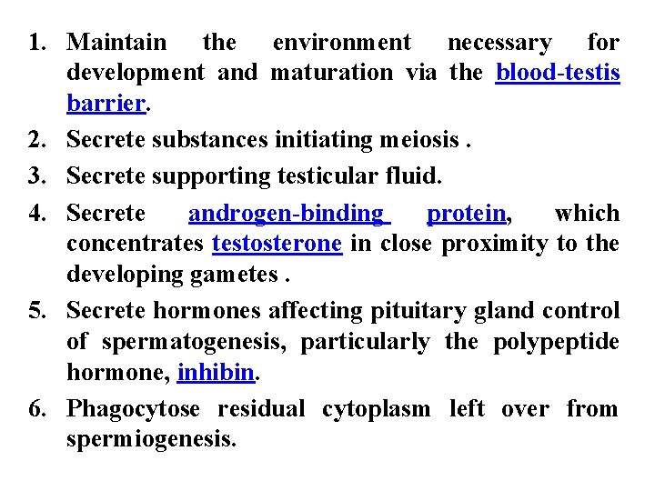 1. Maintain the environment necessary for development and maturation via the blood-testis barrier. 2.