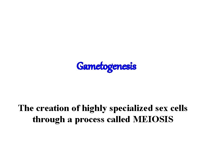 Gametogenesis The creation of highly specialized sex cells through a process called MEIOSIS 