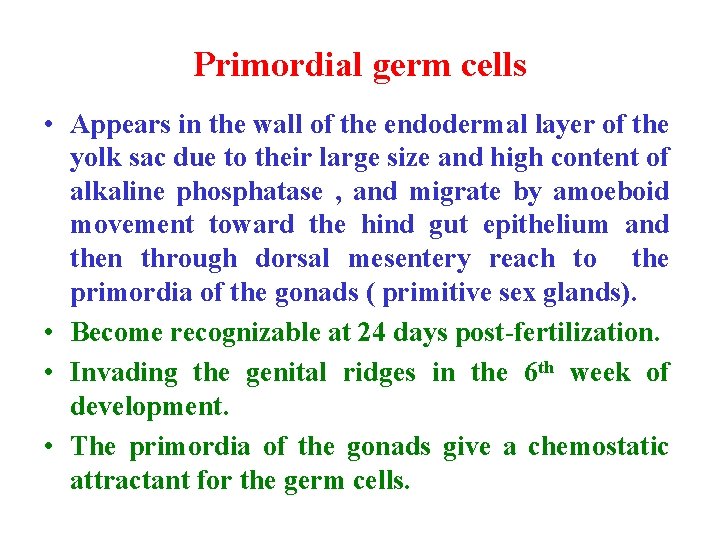 Primordial germ cells • Appears in the wall of the endodermal layer of the