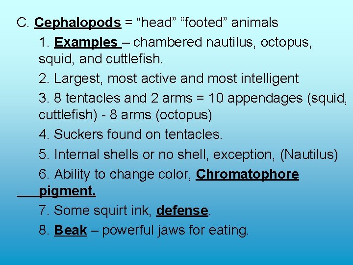 C. Cephalopods = “head” “footed” animals 1. Examples – chambered nautilus, octopus, squid, and C. Cephalopods = “head” “footed” animals 1. Examples – chambered nautilus, octopus, squid, and