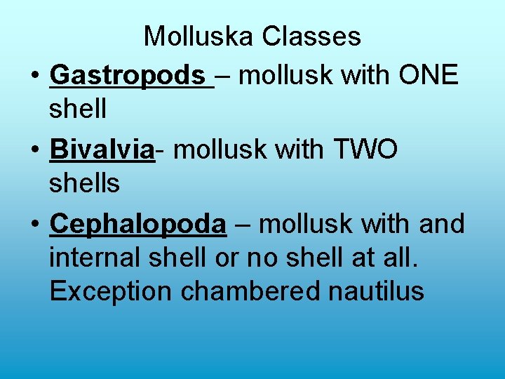 Molluska Classes • Gastropods – mollusk with ONE shell • Bivalvia- mollusk with TWO Molluska Classes • Gastropods – mollusk with ONE shell • Bivalvia- mollusk with TWO
