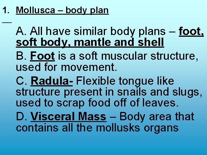 1. Mollusca – body plan A. All have similar body plans – foot, soft 1. Mollusca – body plan A. All have similar body plans – foot, soft