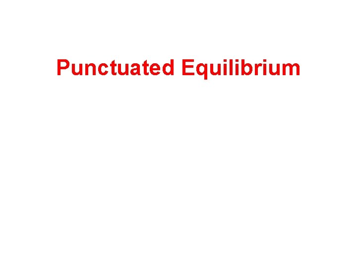 Punctuated Equilibrium 