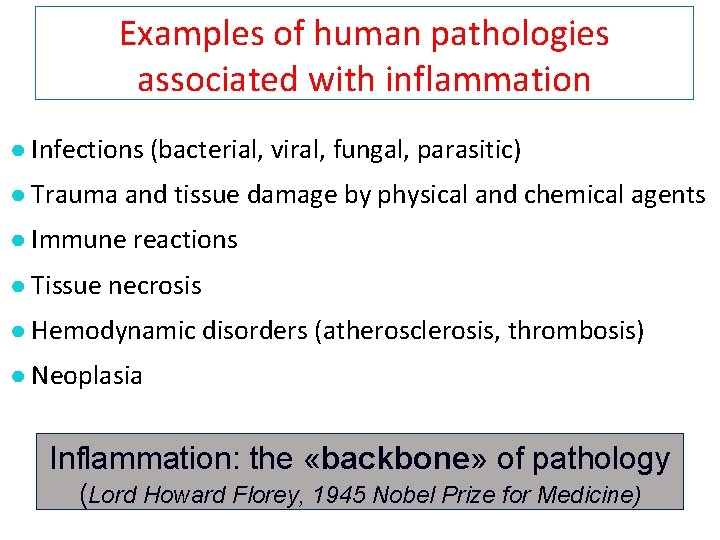 Examples of human pathologies associated with inflammation ● Infections (bacterial, viral, fungal, parasitic) ●