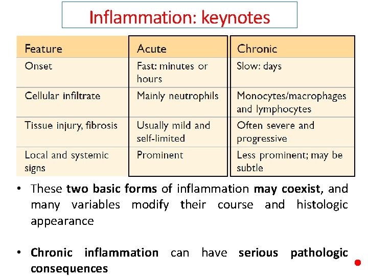 Inflammation: keynotes • These two basic forms of inflammation may coexist, and many variables