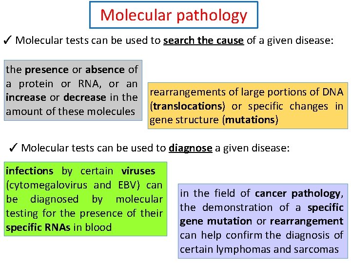 Molecular pathology ✓ Molecular tests can be used to search the cause of a