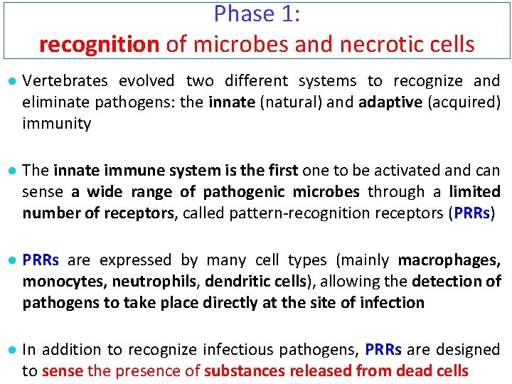 Phase 1: recognition of microbes and necrotic cells ● Vertebrates evolved two different systems