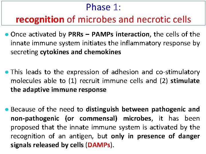 Phase 1: recognition of microbes and necrotic cells ● Once activated by PRRs –