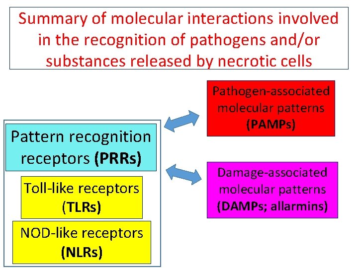 Summary of molecular interactions involved in the recognition of pathogens and/or substances released by
