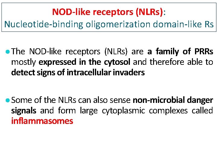NOD-like receptors (NLRs): Nucleotide-binding oligomerization domain-like Rs ● The NOD-like receptors (NLRs) are a