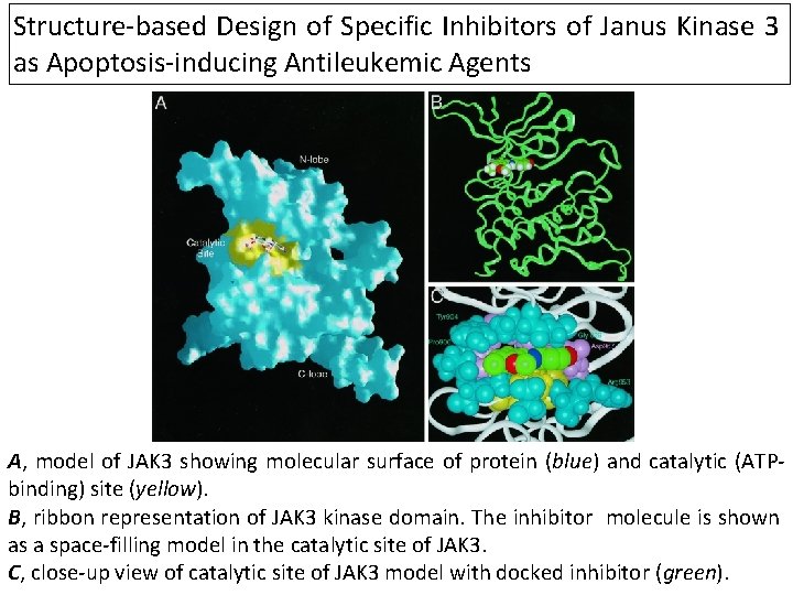 Structure-based Design of Specific Inhibitors of Janus Kinase 3 as Apoptosis-inducing Antileukemic Agents A,