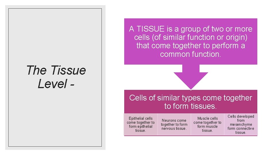 A TISSUE is a group of two or more cells (of similar function or