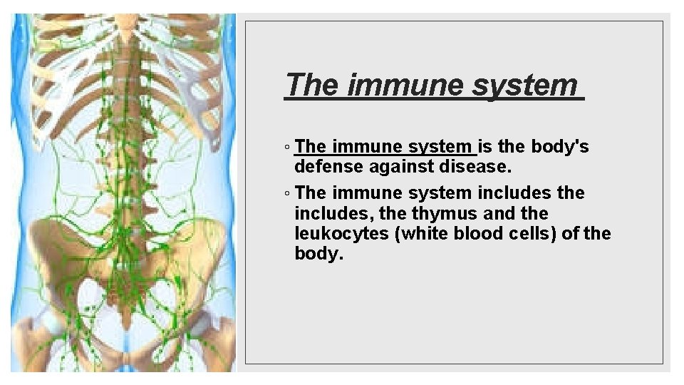 The immune system ◦ The immune system is the body's defense against disease. ◦