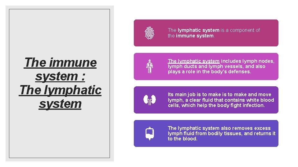The lymphatic system is a component of the immune system. The immune system :