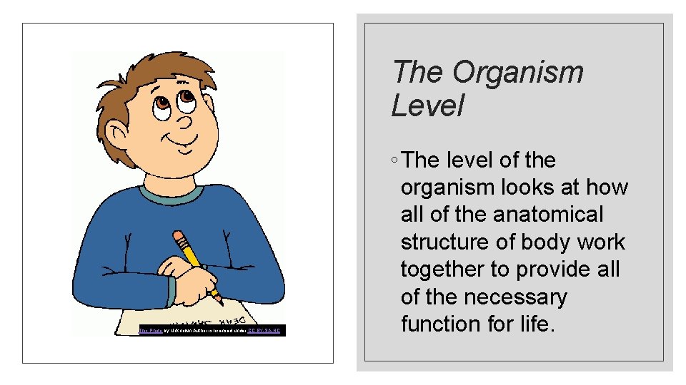 The Organism Level This Photo by Unknown Author is licensed under CC BY-SA-NC ◦