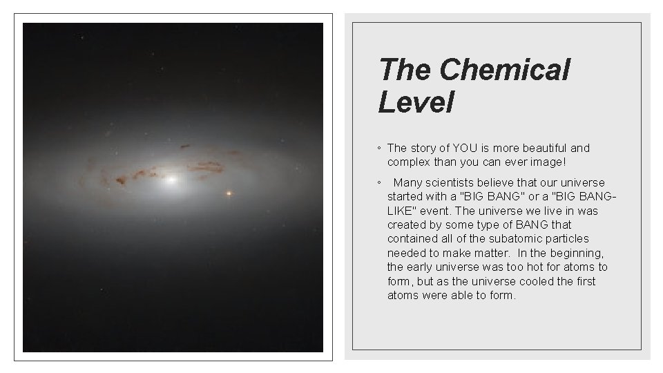The Chemical Level ◦ The story of YOU is more beautiful and complex than