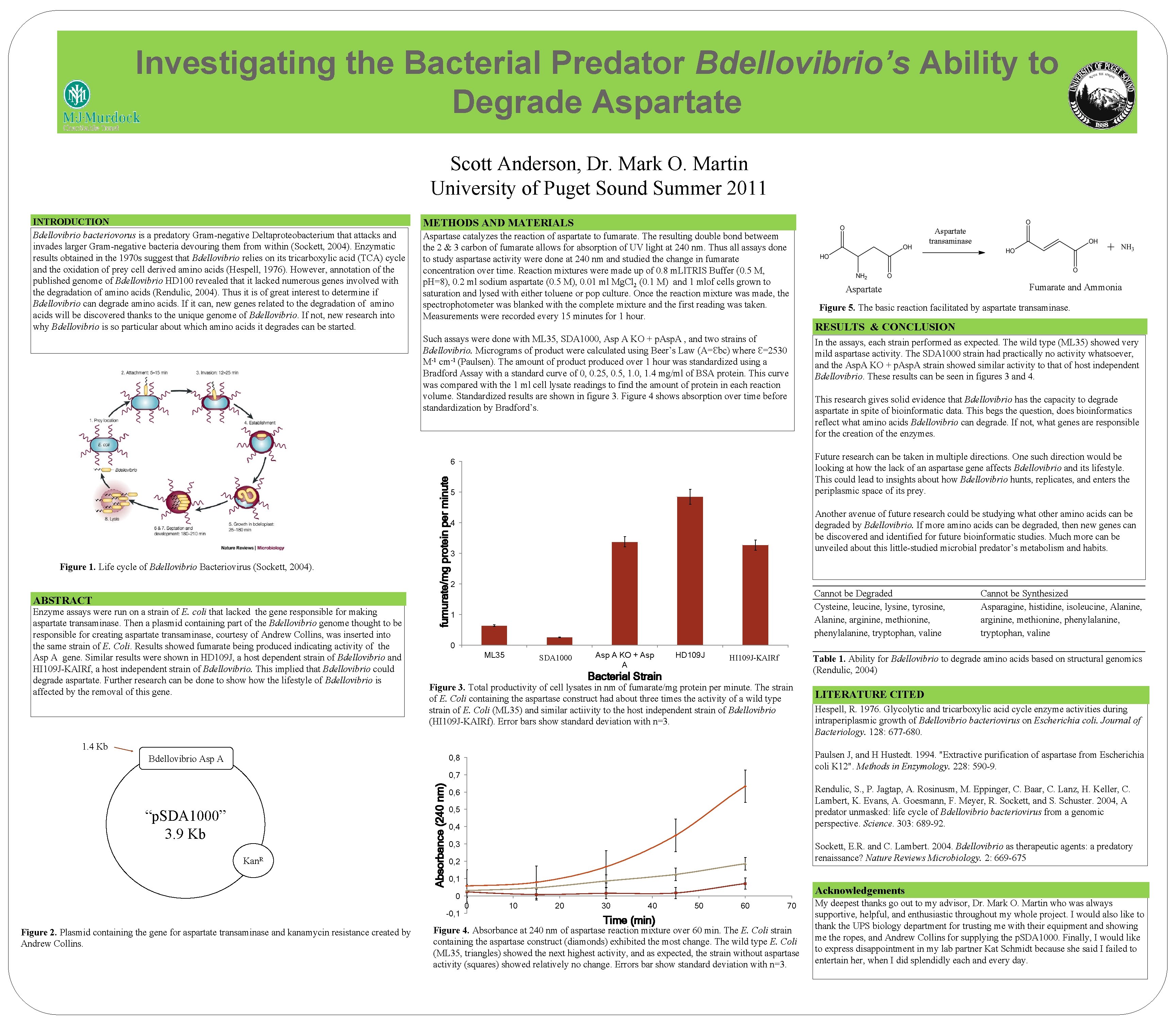 Investigating the Bacterial Predator Bdellovibrios Ability to Degrade