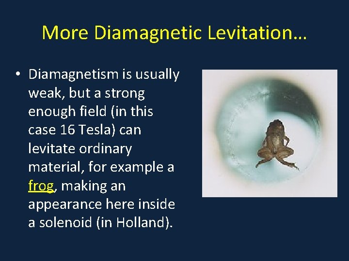 More Diamagnetic Levitation… • Diamagnetism is usually weak, but a strong enough field (in