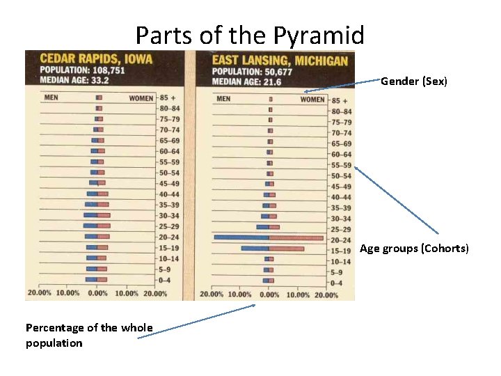 Parts of the Pyramid Gender (Sex) Age groups (Cohorts) Percentage of the whole population