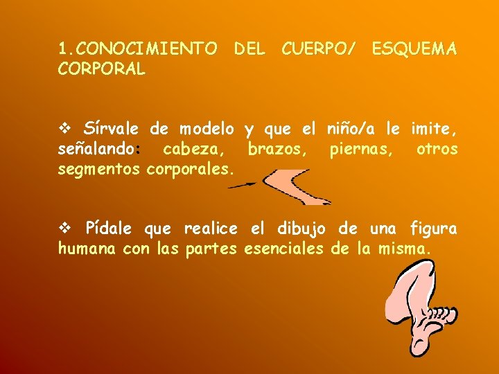 1. CONOCIMIENTO DEL CUERPO/ ESQUEMA CORPORAL Sírvale de modelo y que el niño/a le