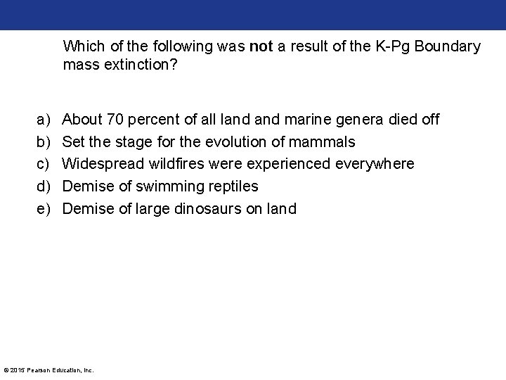 Which of the following was not a result of the K-Pg Boundary mass extinction?