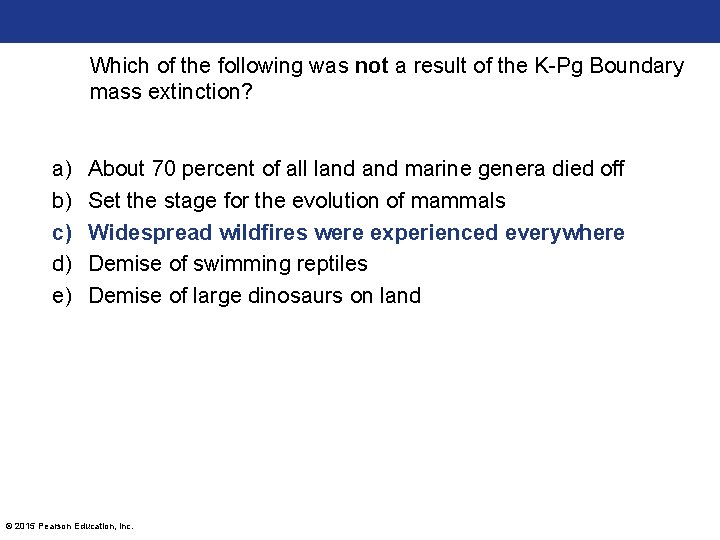 Which of the following was not a result of the K-Pg Boundary mass extinction?