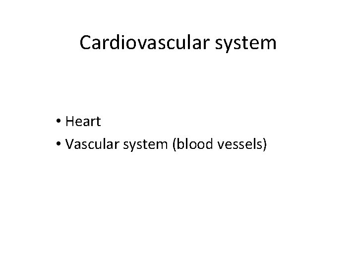 Cardiovascular system • Heart • Vascular system (blood vessels) 