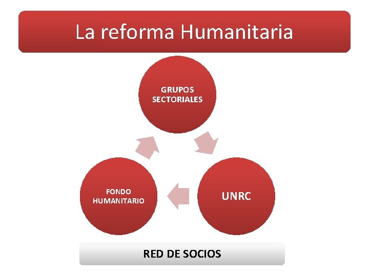 La reforma Humanitaria HUMANITARIA GRUPOS SECTORIALES FONDO HUMANITARIO RED DE SOCIOS UNRC 