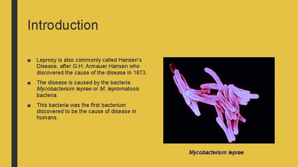 Introduction ■ Leprosy is also commonly called Hansen’s Disease, after G. H. Armauer Hansen